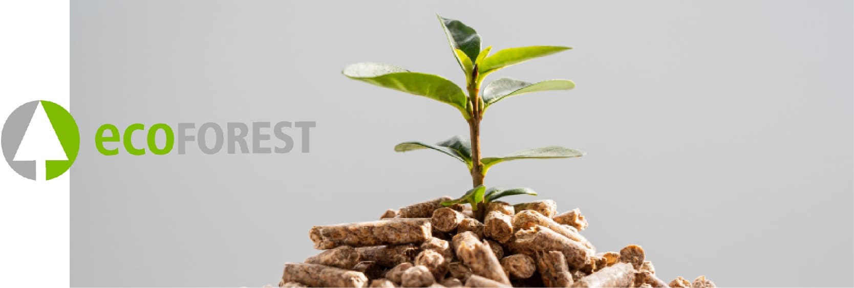 Mais sobre Ecoforest: Inovação e Sustentabilidade em Sistemas de ...